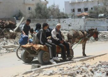 غزة – نزوح 1,500 عائلة من شمال القطاع، وتضاؤل فرص التصدي للجوع