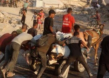 وكالة الأونروا: استمرار القصف الإسرائيلي يقتل المدنيين ويفاقم الكارثة الإنسانية في غزة