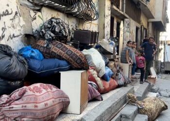 فليتشر: الأوضاع في غزة نتيجة خيارات تتحدى القانون الدولي