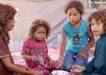 غزة – توزيع مليون وجبة يوميا، ودعوة أممية لزيادة إجلاء المرضى وتسهيل وصول الأدوية الأساسية