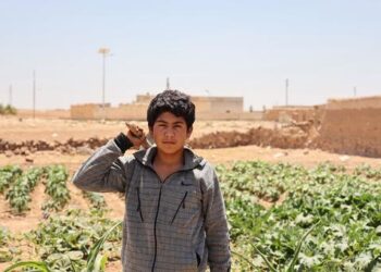 الفاو: الصراع في الشرق الأوسط يضع مزيدا من الضغوط على النظم الزراعية والغذائية الهشة