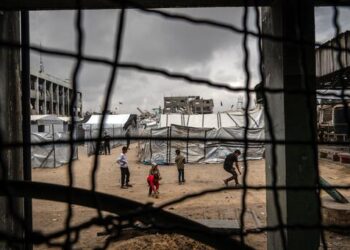 الأرض الفلسطينية المحتلة – زيادة الاحتياجات الإنسانية والنفسية وارتفاع مقلق في التفكير في الانتحار