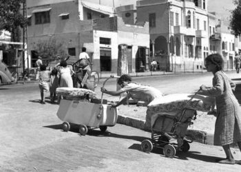 الأمم المتحدة تحيي ذكرى النكبة بشهادات ناجين وأمهات فقدن أبناءهن في غزة والضفة